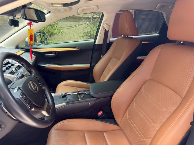 LEXUS凌志 NX300  第13張相片