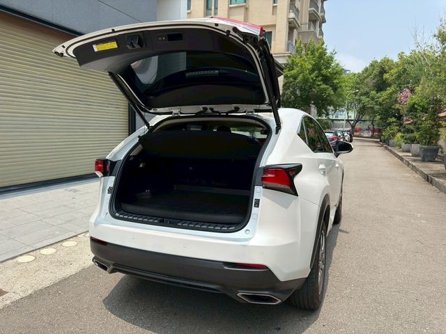 LEXUS凌志 NX300  第17張相片