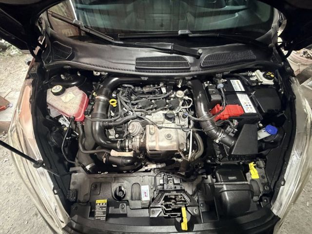 FIESTA  第4張相片