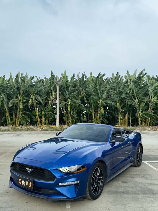 FORD福特 MUSTANG  第1張相片