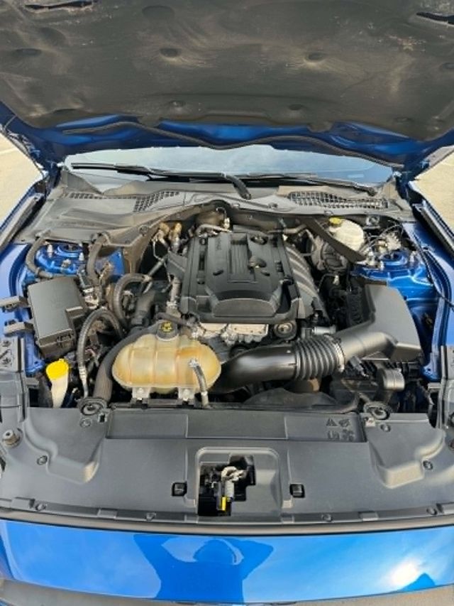 FORD福特 MUSTANG  第6張相片