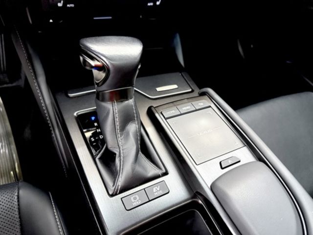 LEXUS凌志 ES300H  第11張相片