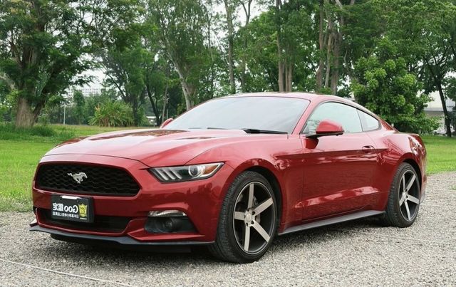 MUSTANG  第1張相片