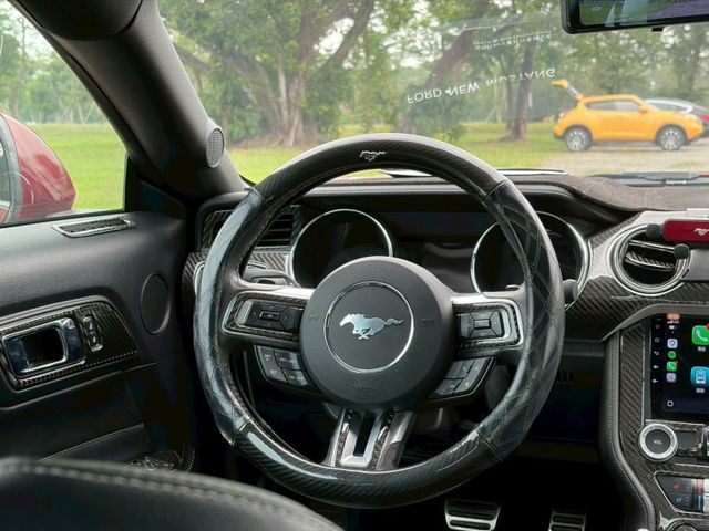 MUSTANG  第3張相片