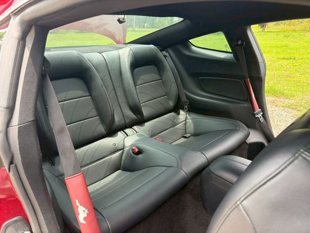 MUSTANG  第7張相片