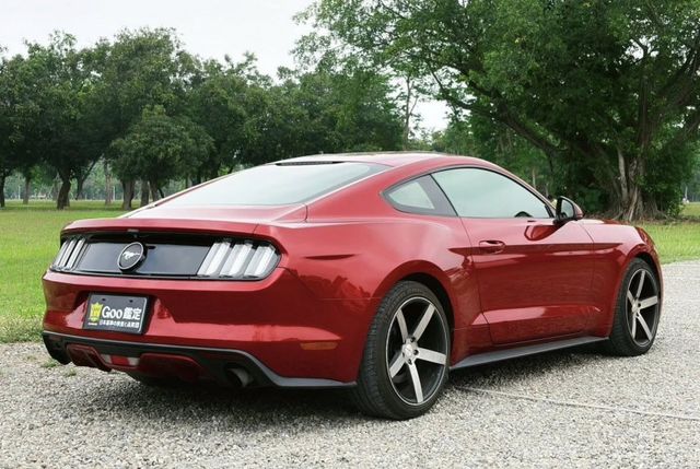 MUSTANG  第9張相片