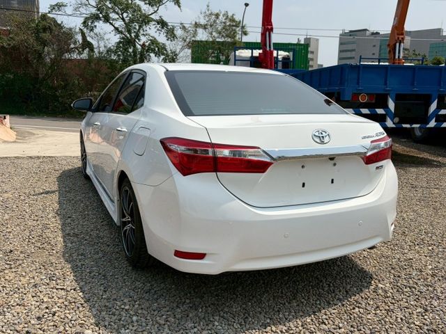 經典safety+  第5張相片