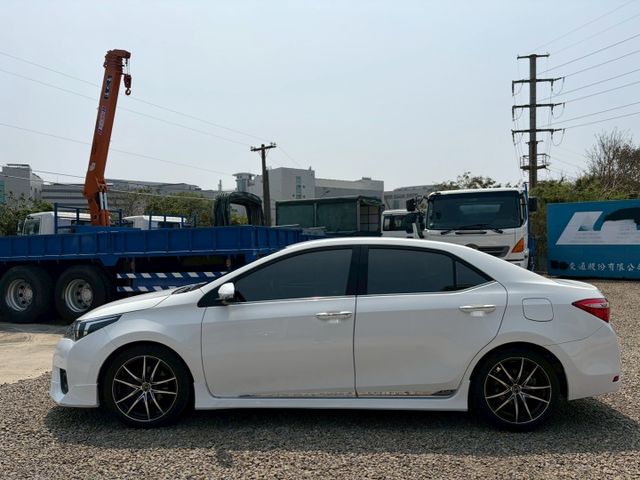 經典safety+  第2張相片
