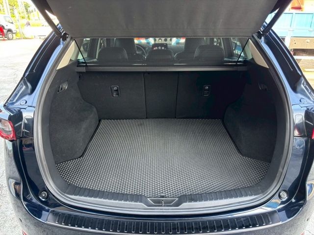 日本原裝質感SUV，頂規大滿配!! MIO前後行車紀錄器、橘子胎壓顯示器~  第11張相片
