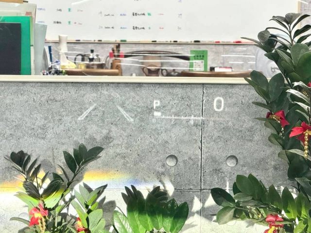 『 ALTIS 旗艦版』｜ACC跟車｜抬頭顯示器｜免鑰匙｜摸門解鎖｜360環景｜影音安卓機｜恆溫空調｜  第14張相片