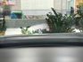『Focus 4D EcoBoost 17SLA』｜ACC跟車｜摸門解鎖｜免鑰匙｜Apple Carplay｜盲點偵測｜  第16張縮圖