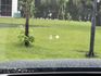 VOLVO富豪 S60  第13張縮圖