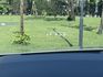 LEXUS凌志 RX350  第9張縮圖