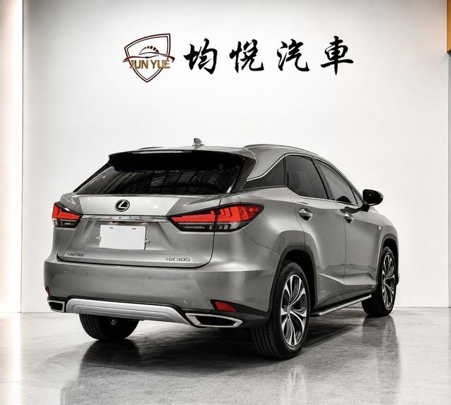 LEXUS凌志 RX300  第2張相片