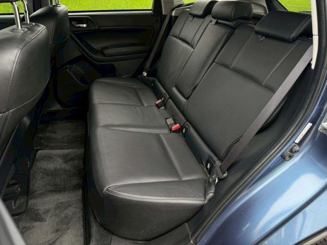 FORESTER  第16張相片