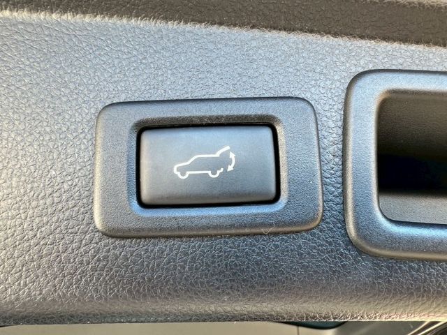 FORESTER  第5張相片