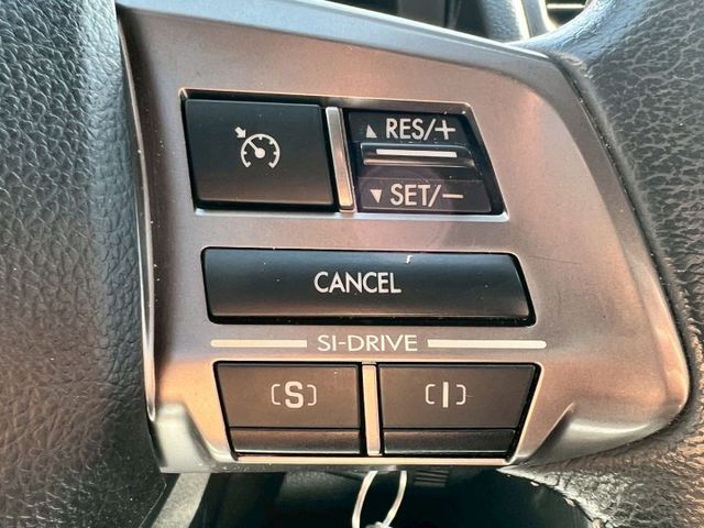 FORESTER  第13張相片