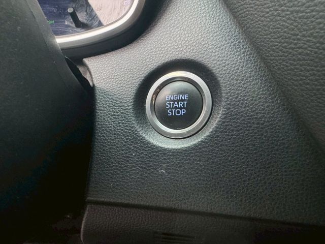 AURIS  第12張相片