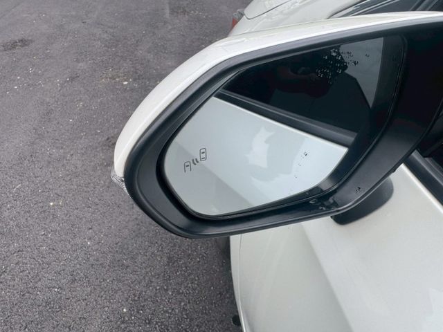 AURIS  第14張相片