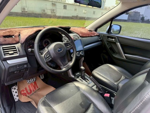 FORESTER  第14張相片