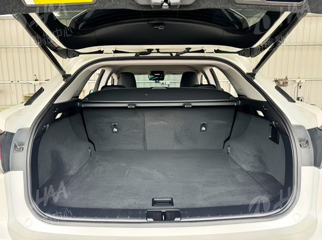 LEXUS凌志 RX300  第8張相片