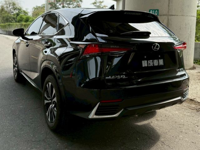 LEXUS凌志 NX200  第6張相片