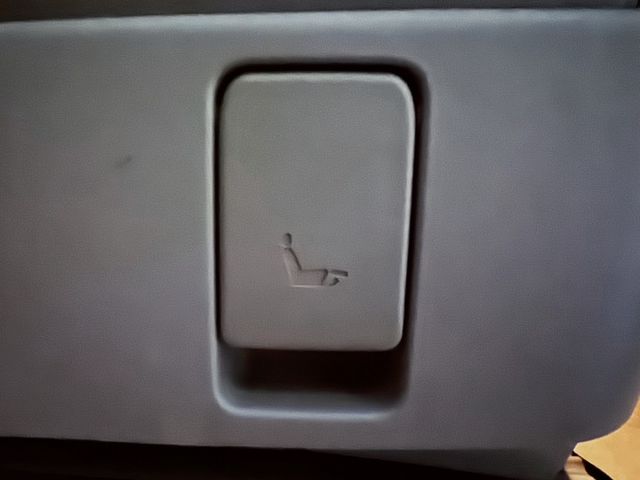 左右電動滑門 電動尾門 電動座椅 倒車顯影 電動天窗  第16張相片