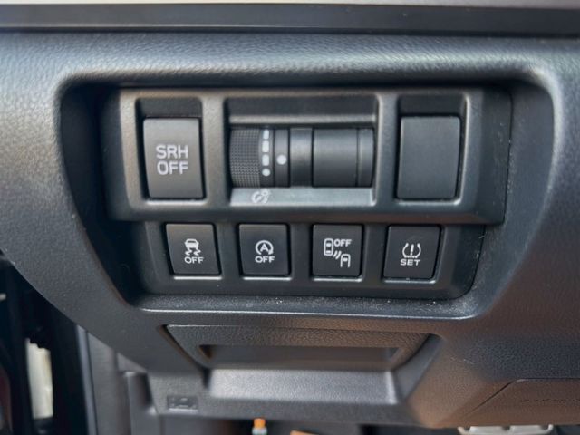 電動天窗 粉塵過濾器 駕駛座電動調整 雨滴感應雨刷 定速  第11張相片