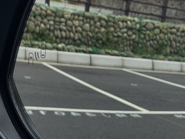360環景 電動尾門 無線充電座 摸門解鎖 盲點偵測  第11張相片