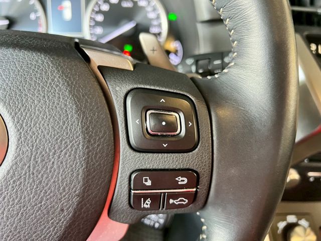 2019 NX200 菁英Plus版✅豪華休旅房車，質感時尚✅引擎順暢安靜、乘坐舒適✅菁英Plus配備齊全，安全又便利  第10張相片