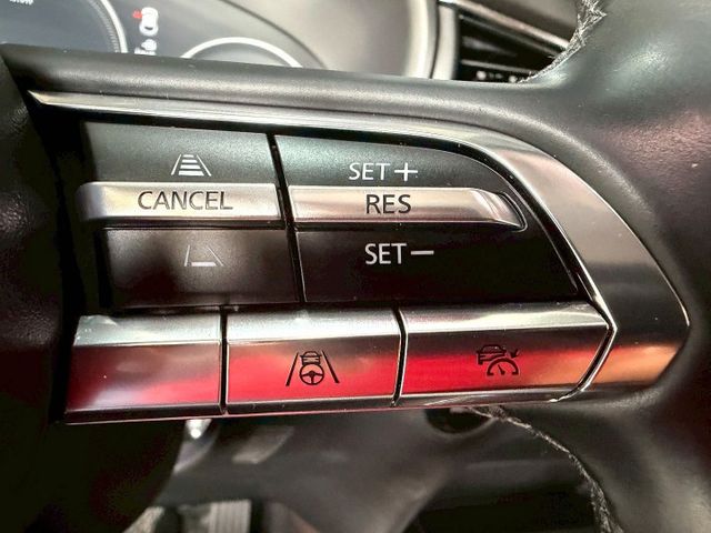 旗艦進化型 感應雨刷/換檔撥片/免鑰/360環景/盲點偵測/ACC/抬顯/電動座椅/電動尾門/主動轉向頭燈/bose音響  第10張相片