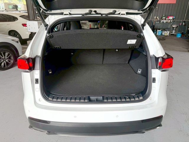 2019 Lexus NX 300 AWD F Sport  第3張相片