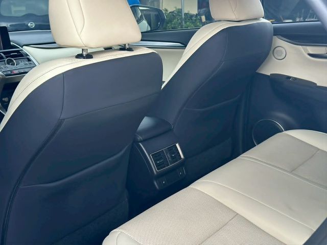 LEXUS凌志 NX300  第9張相片