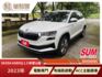 2023 Skoda Karoq 1.5 新雪山版 原廠保固中~ACC主動跟車/電動尾門/免鑰匙啟動  第1張縮圖