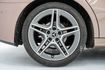 AMG套件 原廠保固至2026.01 稀有玫瑰金 贈全車日本陶瓷鍍膜（保固一年) 黑白雙色內裝 有盲點 有23P  第5張縮圖