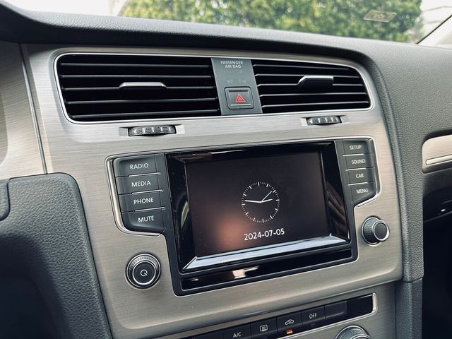 VOLKSWAGEN福斯 GOLF  第11張相片