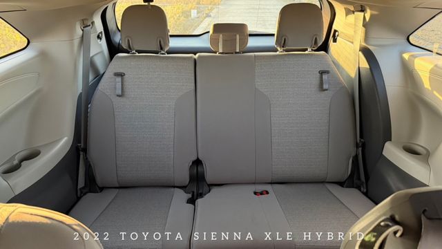 SIENNA  第5張相片