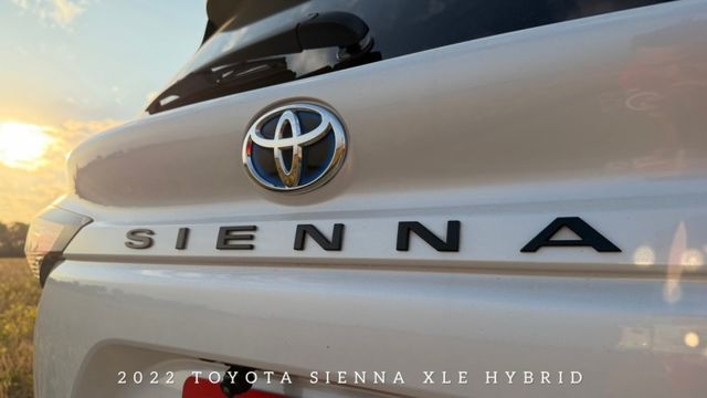 SIENNA  第17張相片