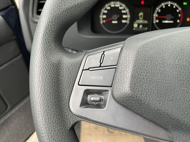 Mitsubishi Delica  第19張相片