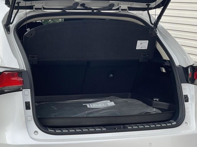 LEXUS凌志 NX200  第10張相片