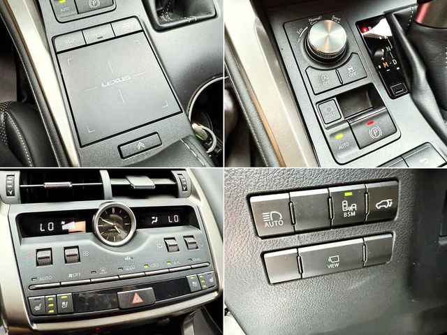 LEXUS凌志 NX300  第19張相片