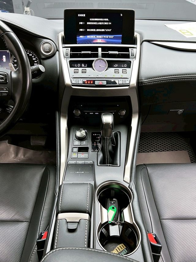 LEXUS凌志 NX300  第16張相片
