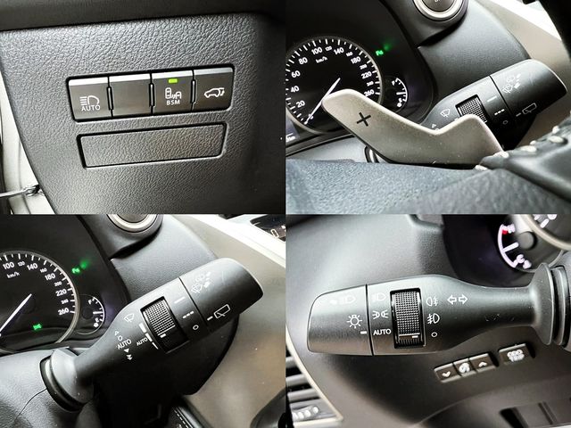 LEXUS凌志 NX300  第18張相片