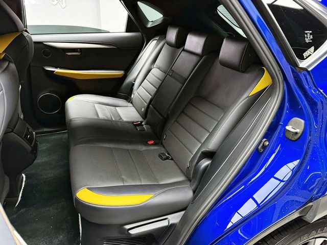 LEXUS凌志 NX300  第13張相片