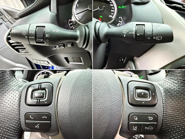 LEXUS凌志 NX300  第17張相片