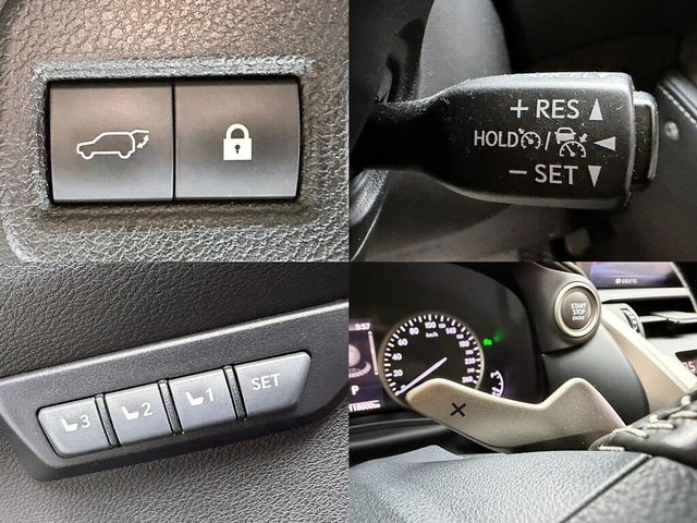 LEXUS凌志 NX300  第18張相片