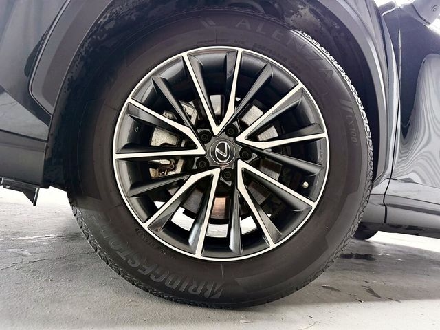 LEXUS凌志 NX200  第8張相片