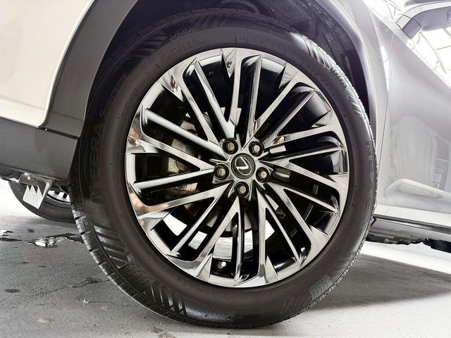 LEXUS凌志 RX300  第8張相片