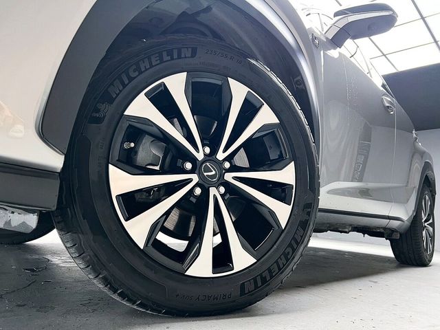 LEXUS凌志 NX300  第8張相片