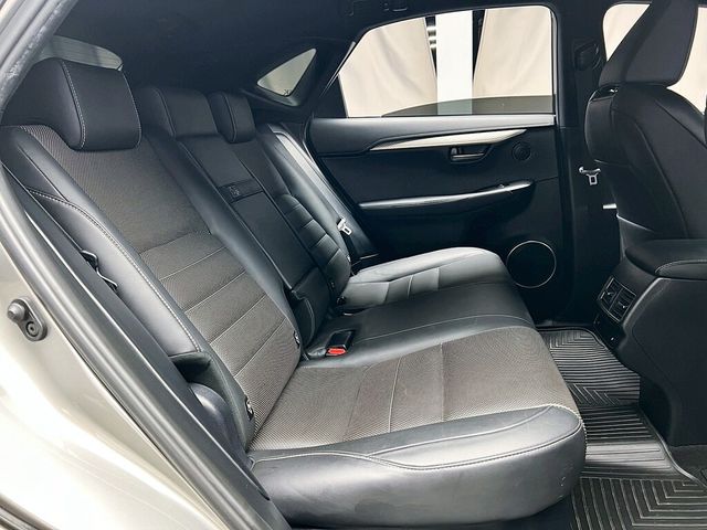 LEXUS凌志 NX300  第14張相片